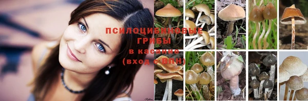 наркотики Алексеевка