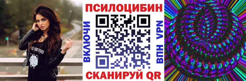 Псилоцибиновые грибы мицелий  Чехов 